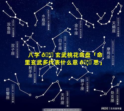 八字 🦟 玄武桃花命盘「命里玄武多代表什么意 🦟 思」